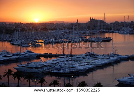 Marina y Catedral de Palma de Mallorca al amanecer, Mallorca, España