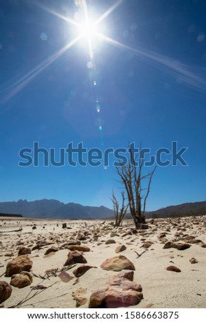 Drought Stricken Landscape In Area Of Western Cape In South Africa