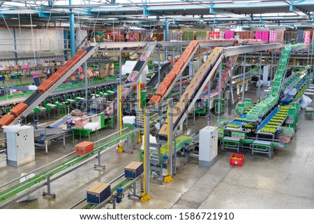 Interior Of Empty Fruit Processing And Packaging Plant