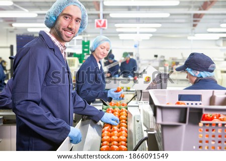 Portrait smiling quality control worker inspecting tomatoes on production line in a food processing plant