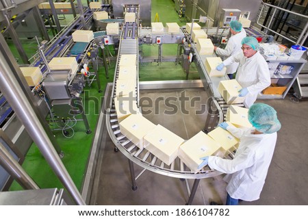 High angle view of quality control workers checking large cheese blocks on production line in a processing plant