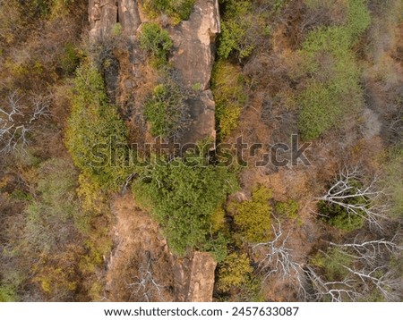 Similar – Image, Stock Photo Aerial View. Spring Dry Grass Burns During Drought Hot Weather. Bush Fire And Smoke In Forest. Wild Open Fire Destroys Grass. Nature In Danger. Ecological Problem Air Pollution. Natural Disaster.