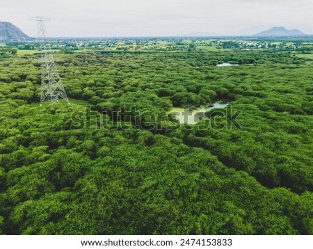 Similar – Image, Stock Photo Such a lustful view in this deep forest. A topless blonde girl climbing up in a tree with a devil’s sign on her sexy back. Blue jeans and black lingerie is all that she is wearing.