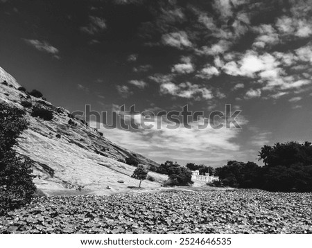 Similar – Image, Stock Photo Waterlillies in black and white