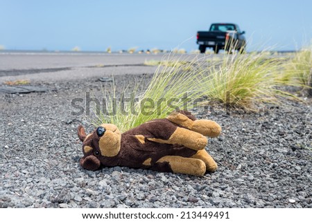 highway car pass by brown plush toy dog thrown away by spoiled child