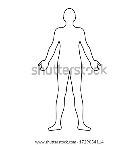 Human body line drawing, vector illustration