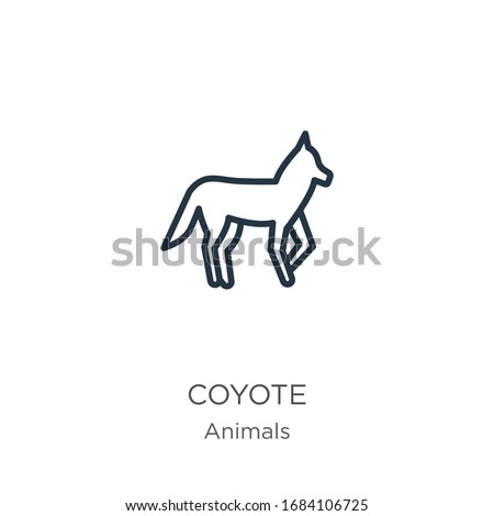 Coyote icon. Thin linear coyote outline icon isolated on white background from animals collection. Line vector sign, symbol for web and mobile