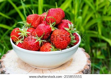 Plate with strawberries on a cut tree on a green background