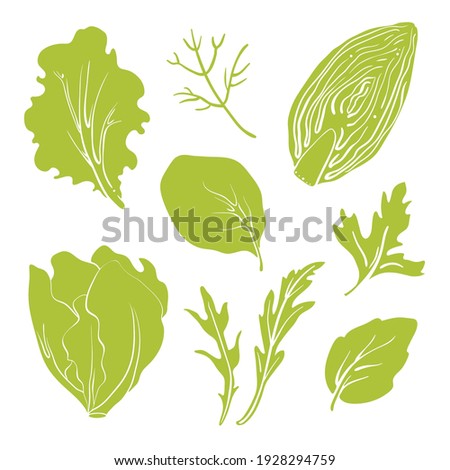 Salad leaves and herbs: lettuce, chicory, swiss chard, arugula, dill, parsley. Colorful line sketch collection of vegetables and herbs isolated on white background. Doodle hand drawn vegetable icons.  Foto d'archivio © 