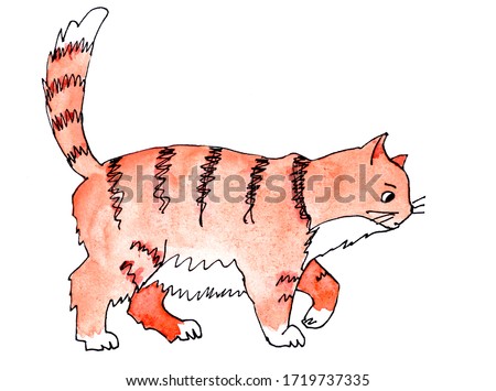 fat striped ginger cat goes about his business. watercolor drawing.