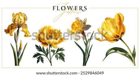 Yellow garden flowers isolated on a white background. Vintage painting style illustration.	