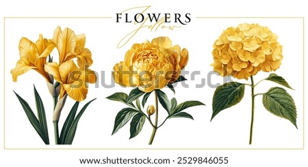 Yellow garden flowers isolated on a white background. Vintage painting style illustration.	