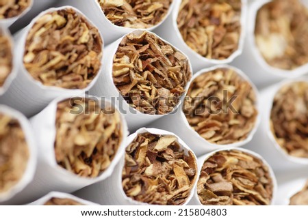 Close-up of the tobacco end of cigarettes.