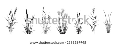 Image, Stock Photo reed with long shadow on ice and snow covered river, some animal footprints in background, cold morning sunlight and some fallen stars on snow