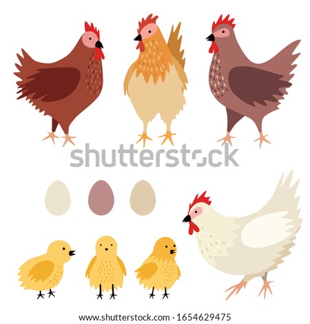 Vector chicken family (hens with chicks and eggs). Set of poultry clip art isolated on white background