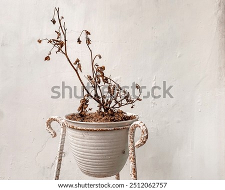 Similar – Image, Stock Photo Extreme drought Flower