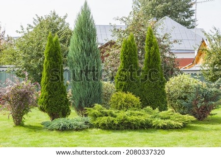 Similar – Image, Stock Photo Pine trees and residential buildings