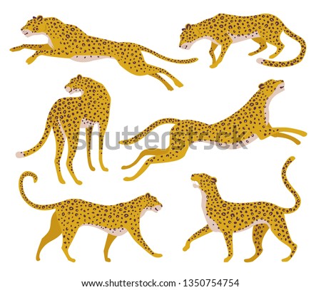 Set of abstract silhouettes of leopards. Vector hand draw design.