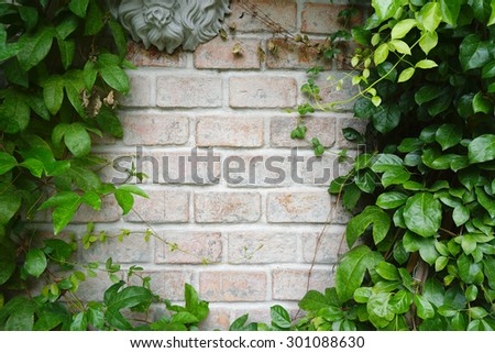 Pale brick wall with green leaves border texture background