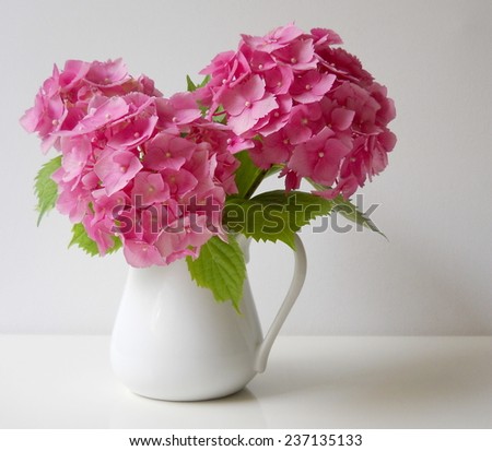 Bouquet of pink hydrangea flowers in a vase. Floral still life with hortensia.
