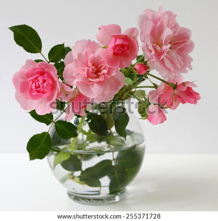 Bouquet of pink roses in a vase. Floral still life with roses and buds.