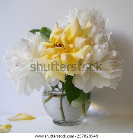 Bouquet of peony flowers and roses in a vase. Floral still life with white peonies and yellow rose. Home decoration. Ornamental plant.