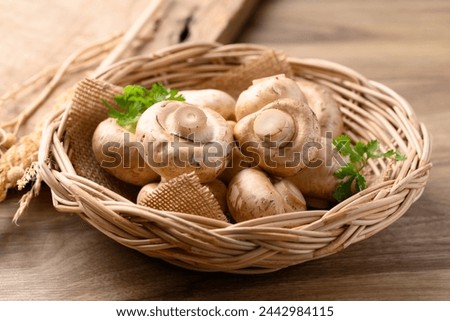 Similar – Image, Stock Photo Fresh Champignon mushrooms on gray table