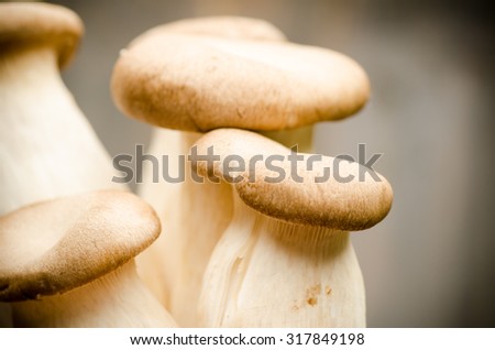 Fresh mushroom,food ingredient,healthy food