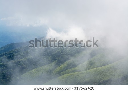 Fog patches and mist on Pine forest mountain at Phu Soi Dao National Park,Thailand