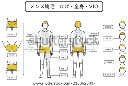 Men's Hair Removal, Beard, Whole Body, VIO Area Guide, Underwear - Translation: V-line, I-line, O-line, Whole Chest, Whole Belly, Upper Elbow, Lower Elbow, Back of Hand, Upper Knee, Lower Knee, Back o