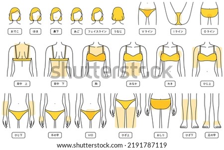 Hair Removal Illustrations for Women by Parts - Translation: forehead, cheek, nose, chin, facial line, nape of neck, V-line, I-line, O-line, upper back, lower back, chest, tummy, armpit, upper elbow, 