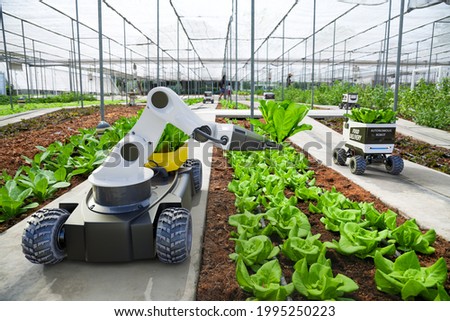 Agriculture robotic and autonomous car working in smart farm, Future 5G technology with smart agriculture farming concept Imagine de stoc © 