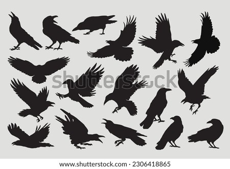 raven and crow silhouette vector set design