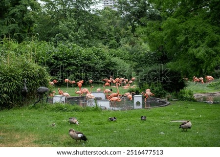 Similar – Foto Bild Großer Tiergarten Allee