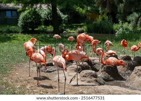 Similar – Foto Bild Großer Tiergarten Allee