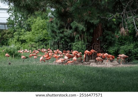 Foto Bild Großer Tiergarten Allee