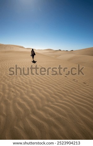 Similar – Foto Bild Maspalomas schön