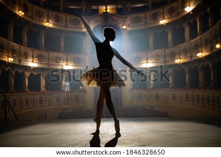 Similar – Image, Stock Photo Ballerina in tutu balancing on tiptoes in studio