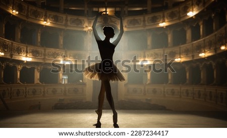 Similar – Image, Stock Photo Professional Woman Ballet Dancer