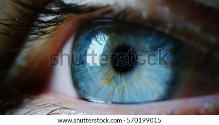 perfect blue eye macro in a sterile environment and perfect vision in resolution 6k,  concept, the vision of the future and healthy life concept. view precise and straight to the target. Stockfoto © 