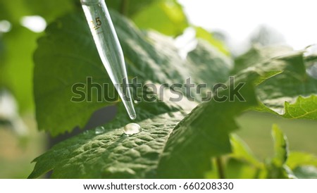 Similar – Image, Stock Photo Crop person taking grape juice in glass