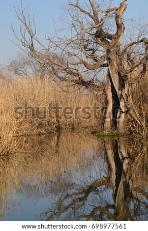 Similar – Image, Stock Photo Calm Rietvlei Dam water at night