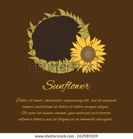 Sunflower greeting card. Yellow and green flower on the dark background