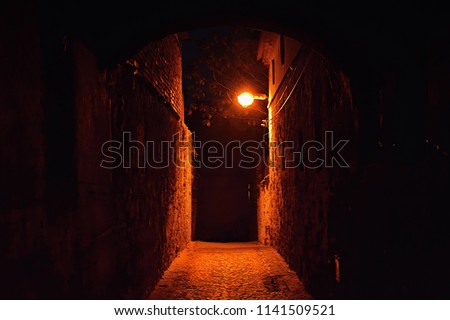 historical pasage with pavement and lamp in center of Kravare village in tourist area Macha's land in czech republic during summer holiday night in july 2018  Imagine de stoc © 
