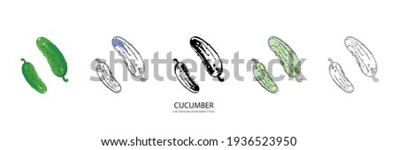 fresh cucumber vector type icon