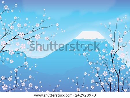 Mount Fuji and blossom trees, Mount fuji of japan with many blossom trees growing in the foreground on this sunny day,