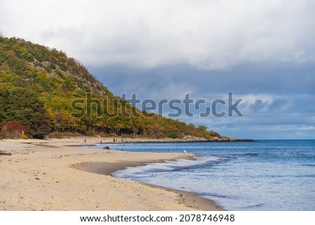 View of the beach at the Baltic Sea and colorful forest of Stenshuvud Nationalpark in Sweden. Stock foto © 