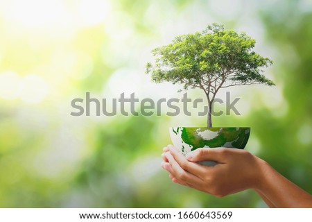 hand holding tree with half globe an d sunlight. concept eco earth day