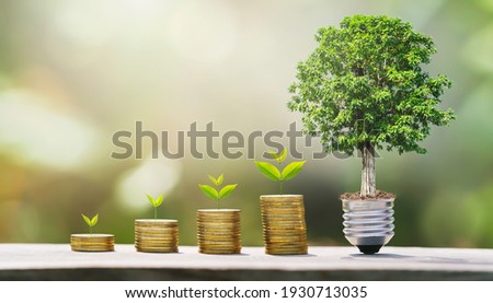 idea of money growing step with tree. concept finane and accounting. plant growth on coins Imagine de stoc © 