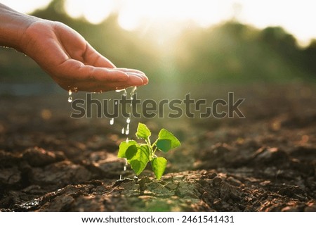 Similar – Image, Stock Photo Essential for life | warmth and light. Fire.